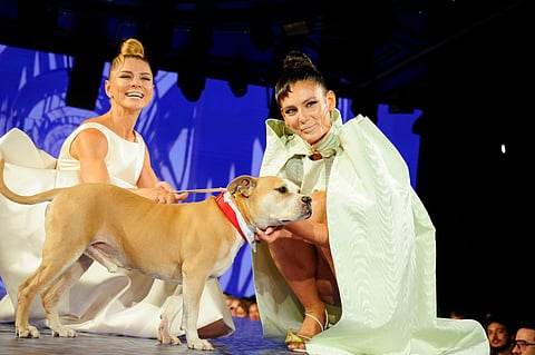 A model and a rescue dog on the Catwalk Furbaby runway during New York Fashion Week
