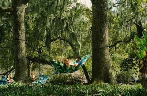 Couple relaxing in a hammock between trees.