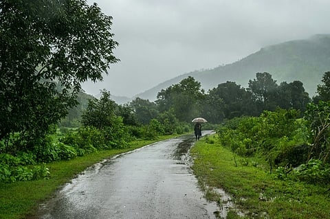 Person walking with an umbrella on a rainy country road.
