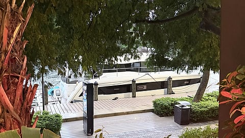 View through tropical greenery to boats docked on the Miami River beside a restaurant terrace.