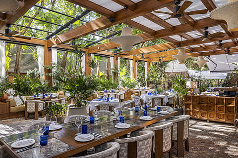 Outdoor restaurant terrace with wood pergola, rattan chairs and white linen tables under trees