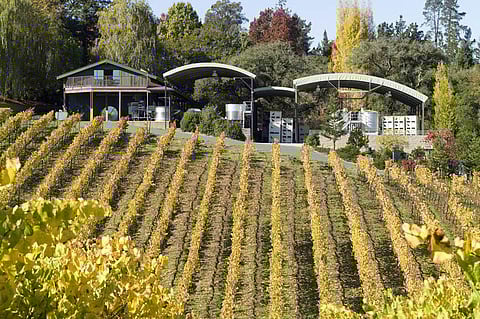 Quail Hill Vineyard at Lynmar Estates