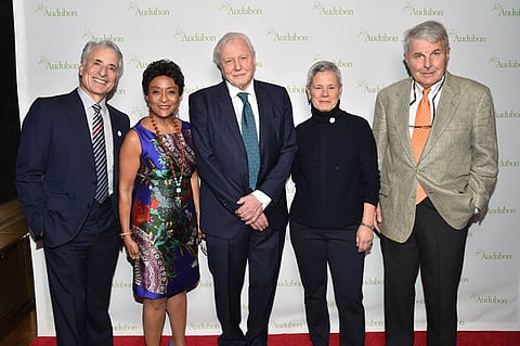 David Yarnold, Peggy Shepard, David Attenborough, Maggie Walker, David Morine==