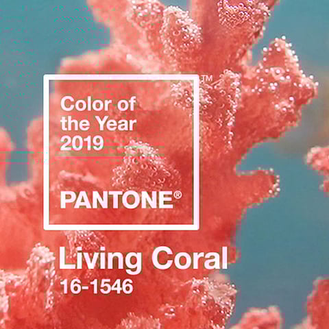 LIVING  CORAL BEAUTY