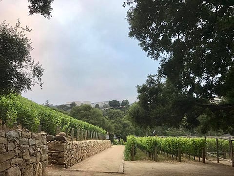 QUALITY TIME IN MORAGA WINERY, BEL AIR