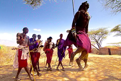 A Royal African Safari