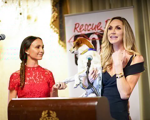 Rescue Dogs Rock NYC Celebrates “Where There’s Hope There’s Life”