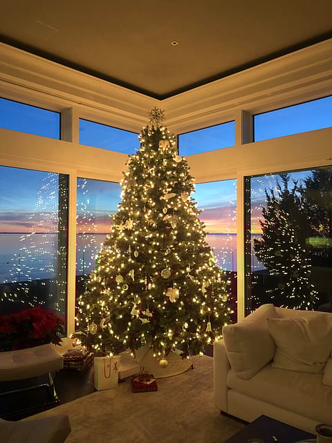 Last Minute Holiday Gift Guide for Everyone on Your List
