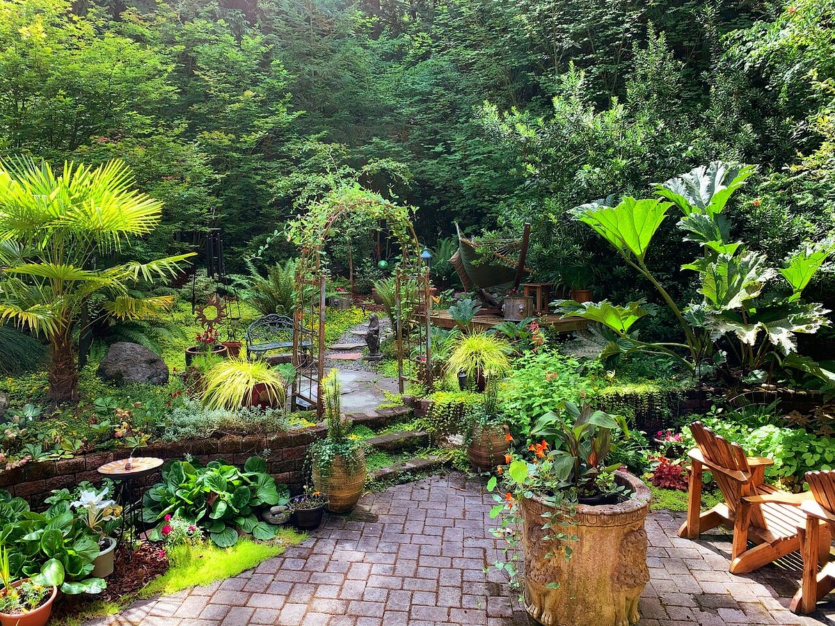 How to choose the right plants for your garden style