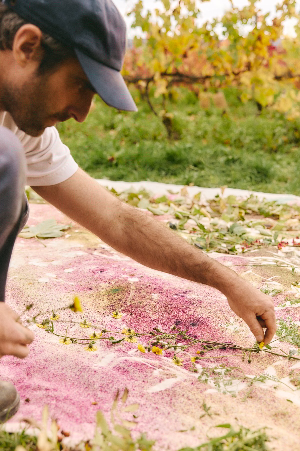 Art Basel Miami: Sam Falls and Ruinart's Nature-Inspired Collaboration