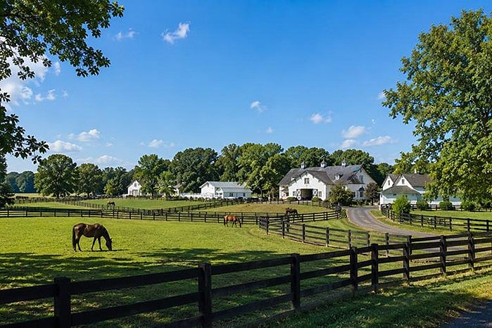 Springsteen House Inside Bruce Springsteen’s Colts Neck Estate: Where the Boss Really ...