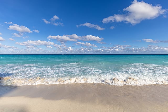 Best Things to Do in Miami in June 2026: World Cup, Festivals & Events ...