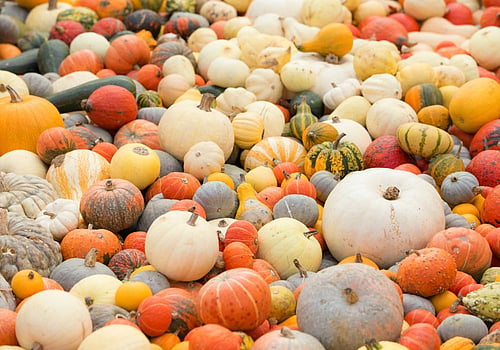 20 Best Things to Do in Dallas-Fort Worth in October 2026