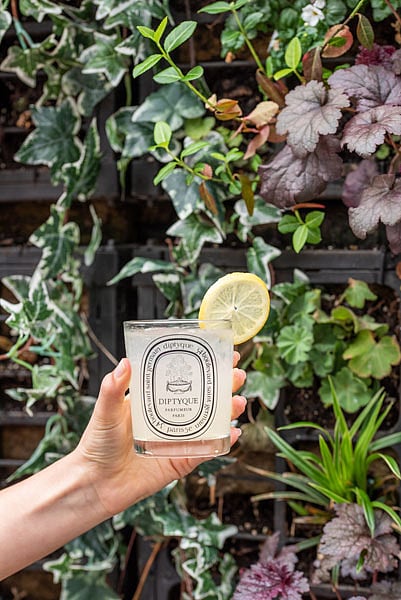 THE KNICKERBOCKER LAUNCHES DIPTYQUE'S FIRST-EVER COCKTAIL AND