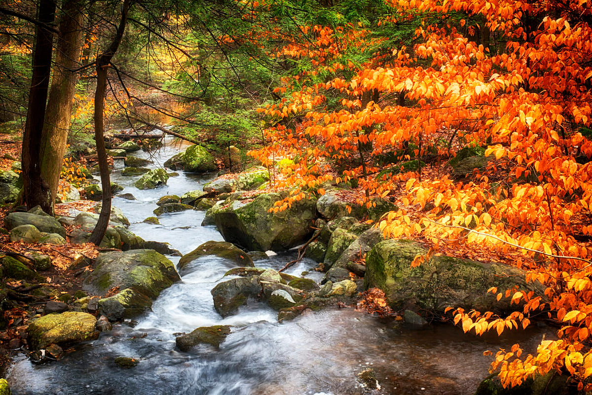 Top Five Inns in Connecticut to Rest Your Weary Leaf-Peeping Eyes