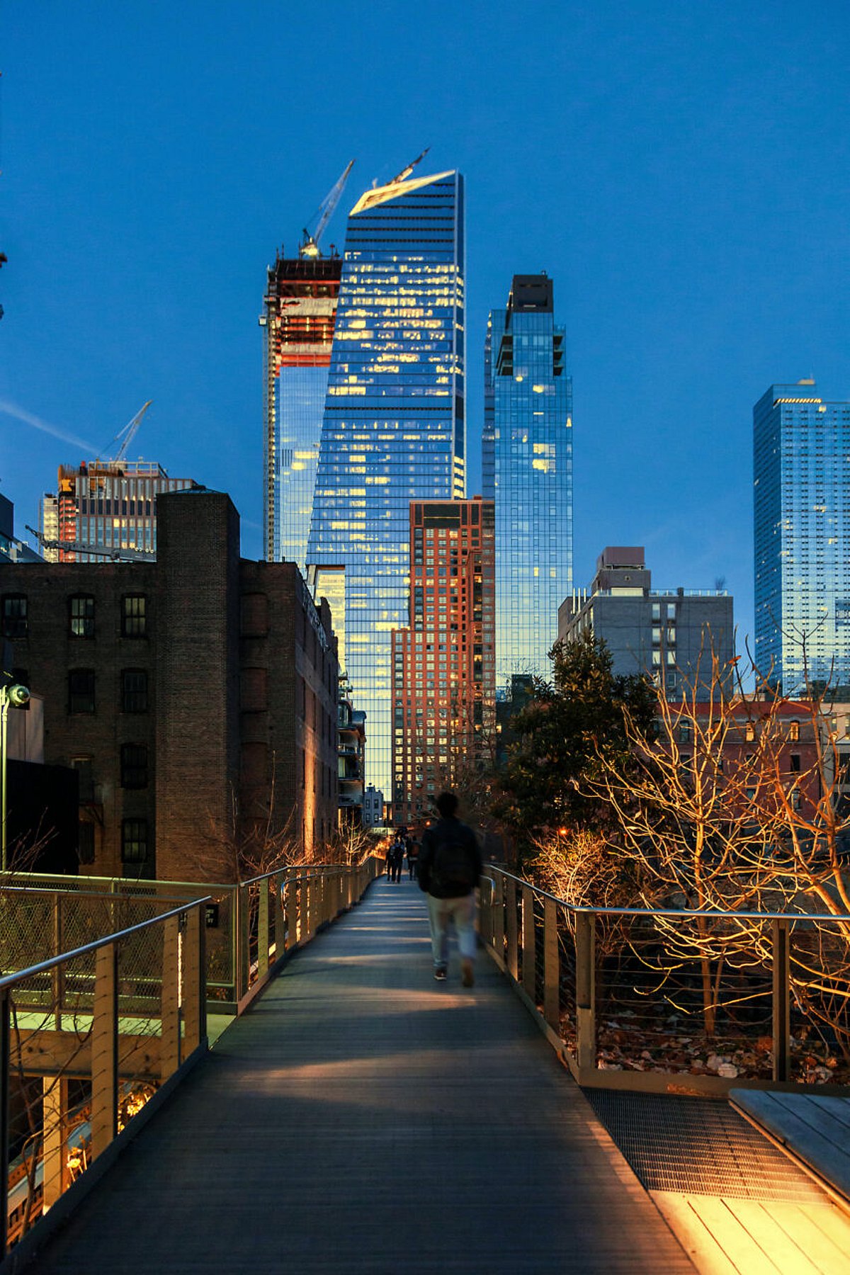 High Line Bridge The High Line Bridge: Revolutionizing the Beauty of NYC