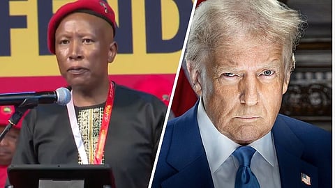 Julius Malema, partiledare för kommunistiska EFF, och Donald Trump, USA:s president