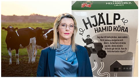 Kor, Maria Rosander (SD), bilden på mjölkpaketet hon publicerade på X.