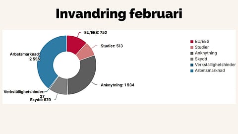 6200 beviljade medborgarskap per månad