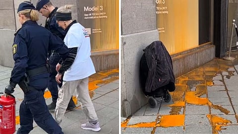 Färgattacker mot Tesla i Sverige – 17 bilar utsatta för mordbrand i Rom