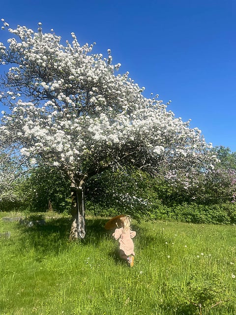 Barnfria trender och livets mening: En mors tankar om framtidens arv