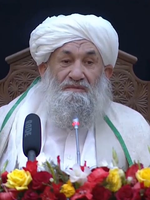 Talibanerna uppmanar afghaner att återvandra