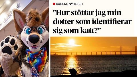 Linnea Klingström: Identifikationen med djur handlar om bekräftelse