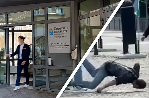 Palestinademonstrant begärd häktad för misshandel på demonstration