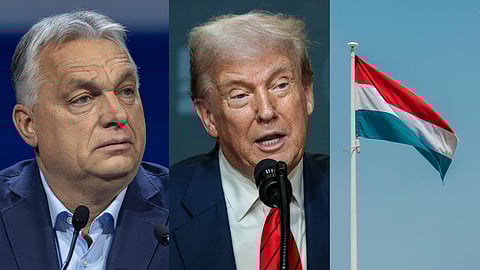 Flera länder vill terrorklassa Antifa