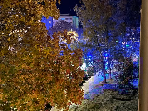 Utebliven psykvård ökar risken för våldsbrott