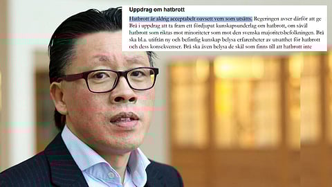 Vänsterforskare rasar – nu ska myndighet utreda hatbrott mot svenskar: "Våt dröm"