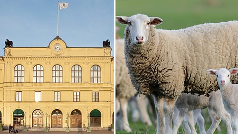 Värmlands Tingsrätt