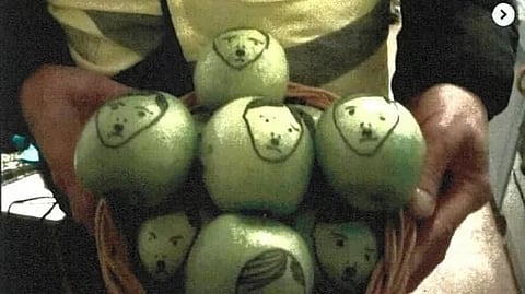 En bild på äpplen med motiv föreställande Adolf Hitler, som mannen misstänks ha placerat utanför Johan Forsells bostad. 