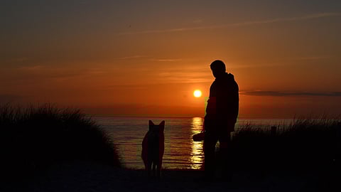 Ny forskning visar att hundens historia som "människans bästa vän" kan vara betydligt äldre än man hittills trott. 