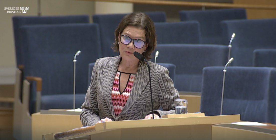 Elsa Widding, tidigare SD, riktade kritik mot förslaget om skärpta krav för medborgarskap.