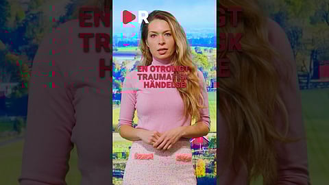 Bubbe och Carisma ihjälskjutna: Shetlandsponnyerna var älskade