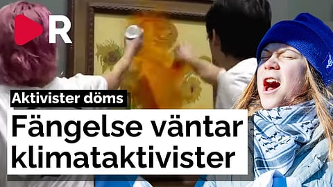 Klimataktivister vandaliserade tavla – Får nu fängelsestraff