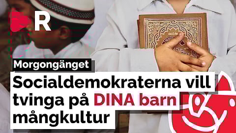 Morgongänget: Socialdemokraterna vill tvinga på DINA barn mångkultur