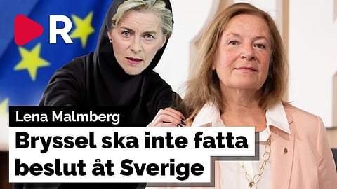 Vilka är de verkliga förlorarna i mediedrevet mot SD? – Lena Malmberg