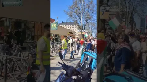 Palestinademonstrationer mot McDonalds i Stockholm