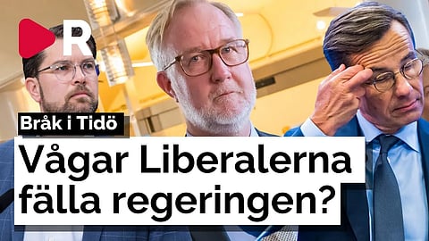 L-hotet: Spräng Tidöregeringen – Men vågar de?