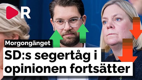 Morgongänget: SD:s segertåg i opinionen fortsätter
