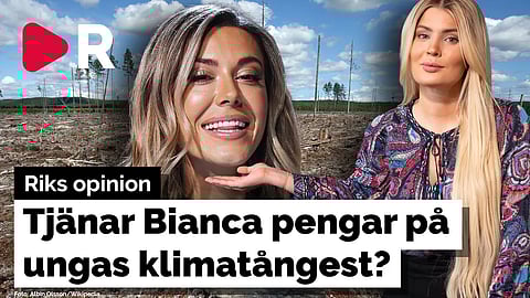 Detta är resultatet av klimathysterin