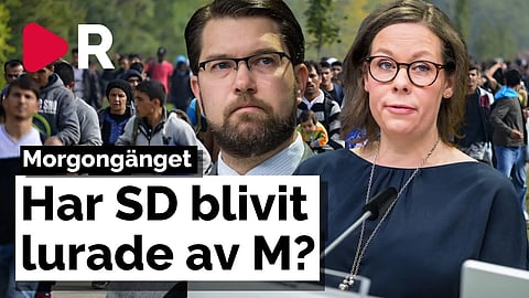 Morgongänget: Har Sverigedemokraterna blivit lurade av Moderaterna?