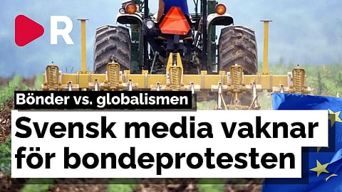 Nu har bondeprotesterna kommit till Sverige – Rasar mot dåliga villkor