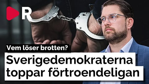 Mätningen: Sverigedemokraterna är väljarnas favorit inom lag och ordning
