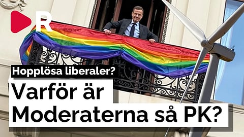 Vindkraft och könsbyten – varför är Moderaterna politisk korrekta?