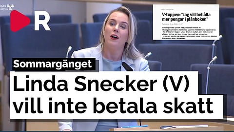 Sommargänget: Vänsterpartister som inte vill betala skatt