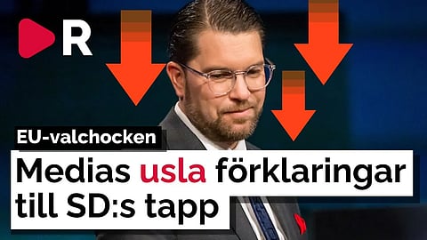 Varför kan ingen vara ärlig om Sverigedemokraternas förlust?
