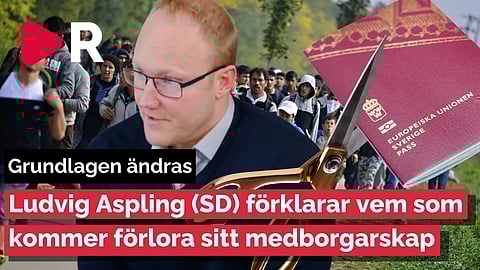 Riks Live: Ludvig Aspling förklarar: vems medborgarskap kommer klippas?